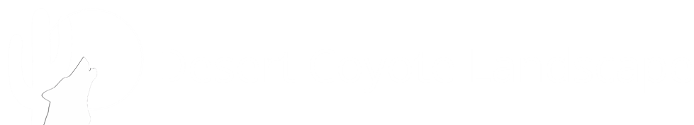 Desert Coyote Landscape